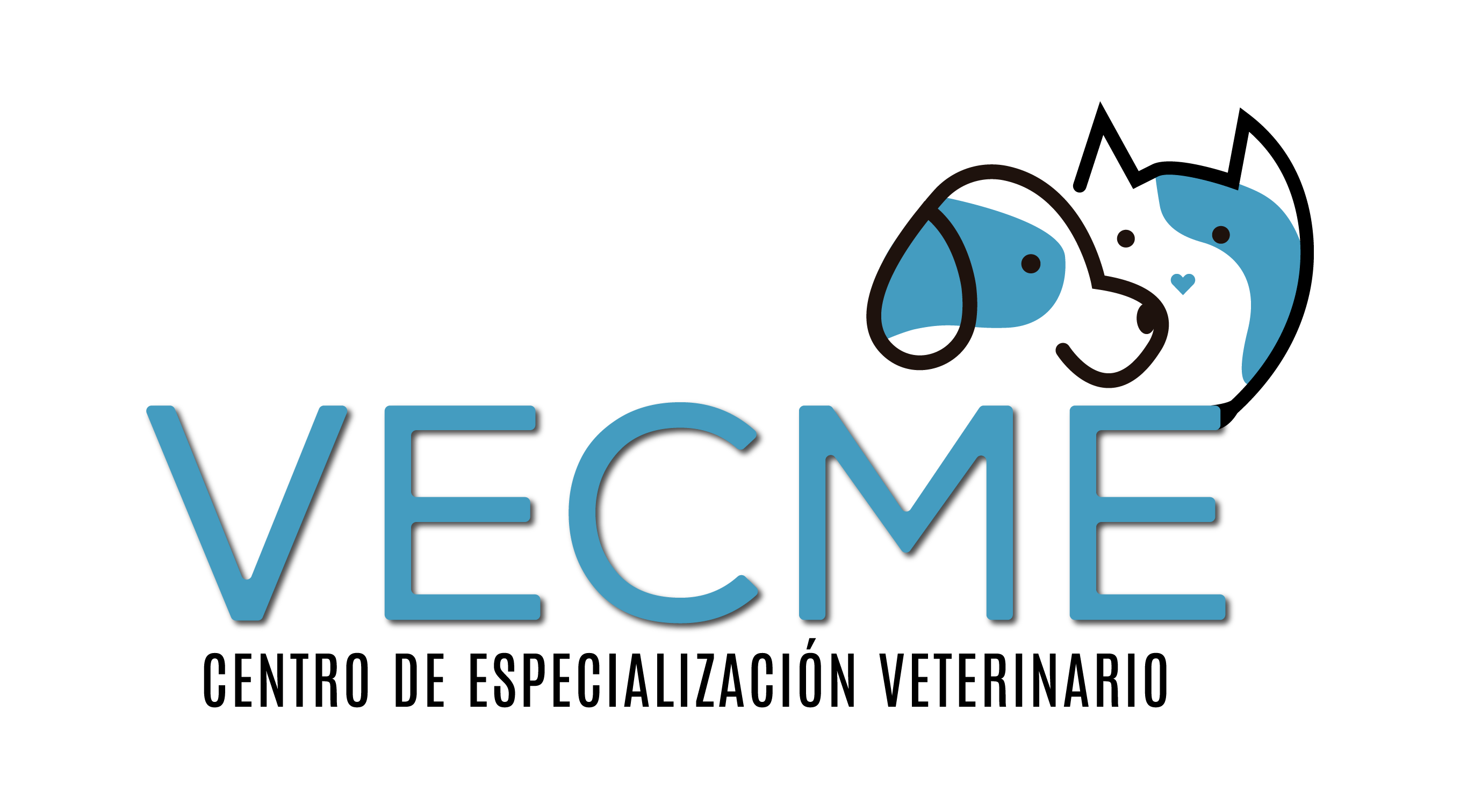 Aula Virtual Vecme