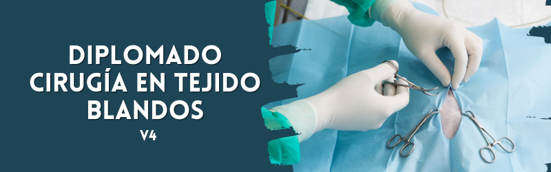 Diplomado Cirugía Tejidos Blandos 
