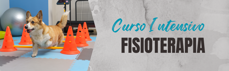 Curso Fisioterapia
