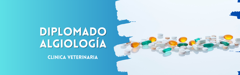 Diplomado Algiología Clínica