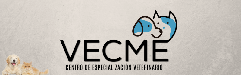 Curso Gastroenterología 2026