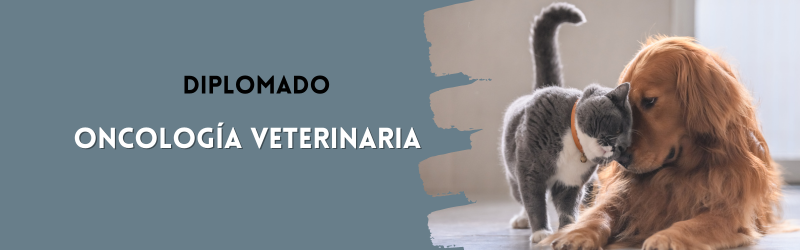 Diplomado Oncología