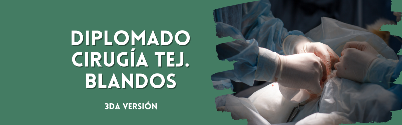 Diplomado Cirugía Tejidos Blandos