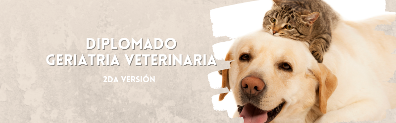 Diplomado Geriatría 