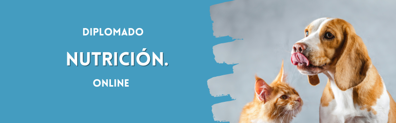 Diplomado en Nutrición