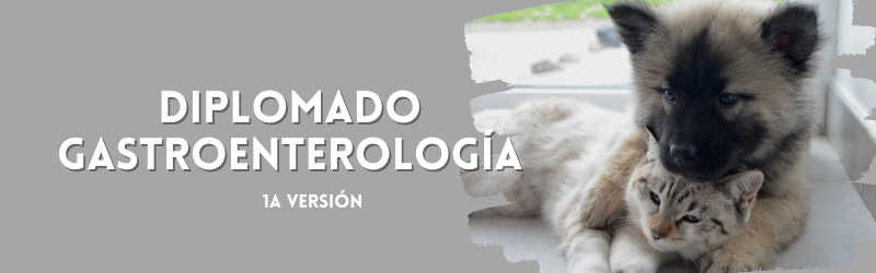 Diplomado Gastroenterología